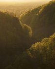 Floresta coberta colinas ao pôr do sol no Parque Nacional Soderasen, Suécia — Fotografia de Stock