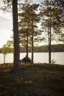 Junge Frau liest bei Sonnenuntergang am See norra bredsjon, schweden — Stockfoto