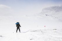Femme skiant près des montagnes à Kungsleden en Laponie, Suède — Photo de stock