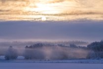 Солнечный луч над туманным полем, избирательный фокус — стоковое фото