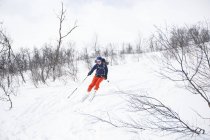 Катание на лыжах, селективная фокусировка — стоковое фото