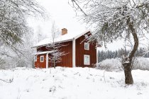 Красная ферма в снегу зимой — стоковое фото