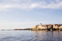 Cliffs by sea, focus selettivo — Foto stock