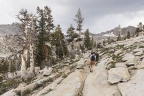 Caminhantes em Sequoia National Park, na Califórnia — Fotografia de Stock
