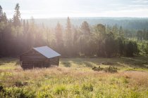 Holzscheune auf der grünen Wiese in Waldnähe an sonnigem Tag — Stockfoto