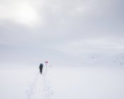 Mujer esquiando por marcadores en el sendero Kungsleden en Laponia, Suecia - foto de stock