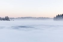 Trees next to frozen Lake Skiren in Sweden — Stock Photo