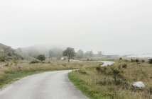 Route rurale par champs, orientation sélective — Photo de stock