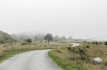 Rural road by fields, selective focus — Stock Photo