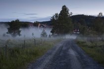 Scenic view of rural road in mist — Stock Photo