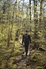 Человек прогуливается в зеленом лесу, вид сзади — стоковое фото