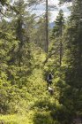 Mädchen geht mit Hund im Wald spazieren, Blick aus der Vogelperspektive — Stockfoto