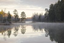Floresta por lago em Lotorp, Suécia — Fotografia de Stock