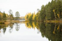Forêt automnale au bord du lac à Lotorp, Suède — Photo de stock
