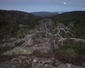 Rochers en forêt dans le parc national de Skuleskogen, Suède — Photo de stock