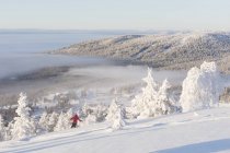 Person beim Skifahren von schneebedeckten Bäumen — Stockfoto