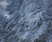 Rock in Kings Canyon National Park na Califórnia — Fotografia de Stock