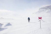 Mulher esquiando por marcadores em Kungsleden trail na Lapônia, Suécia — Fotografia de Stock