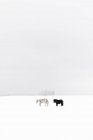 Cavalos no campo coberto de neve, foco seletivo — Fotografia de Stock