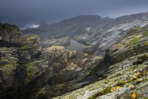 Вид на скалистое побережье Шетландских островов, Великобритания — стоковое фото