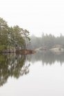 Vue panoramique sur les arbres reflétés dans le lac — Photo de stock