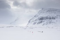 Marcatori sulla neve del sentiero Kungsleden in Lapponia, Svezia — Foto stock