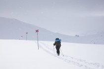 Femme skiant avec des marqueurs sur le sentier Kungsleden en Laponie, Suède — Photo de stock