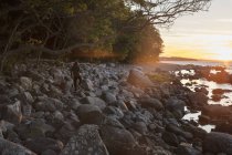 Mann geht bei Sonnenuntergang auf Felsen, Rückansicht — Stockfoto