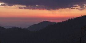 Mammutbaum-Nationalpark bei Sonnenuntergang in Kalifornien — Stockfoto