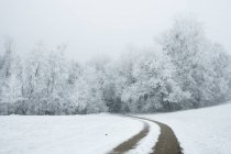 Snow covered road by trees in wintertime — Stock Photo