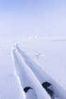 Pistas de esquí en nieve, enfoque selectivo - foto de stock