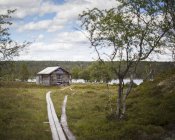 Wooden cabin near lake and green vegetation — Stock Photo