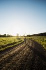 Agricultor caminhando pela estrada rural, vista traseira — Fotografia de Stock