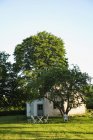 Vista panorâmica da casa de campo em árvores, Gotland, Suécia — Fotografia de Stock