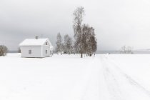 Будинок на деревах у снігу, вибірковий фокус — стокове фото