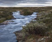 Vista panorámica del río a través del Parque Nacional Rondane, Noruega - foto de stock