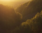 Forest covered hills al tramonto nel Soderasen National Park, Svezia — Foto stock