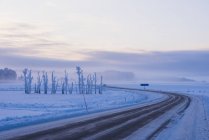 Geada coberto árvores ao lado de neve estrada rural em Skavsta, Suécia — Fotografia de Stock