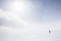 Жінки катаються на лижах маркерами по сліду Кунгсследен в Лапландії (Швеція). — стокове фото