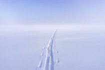 Ski tracks in snow, selective focus — Stock Photo