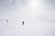 Жінка катається горами по Кунгсследенському сліду в Лапландії (Швеція). — стокове фото
