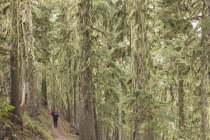 Wanderer in Mount Haube Nationalwald in Oregano — Stockfoto