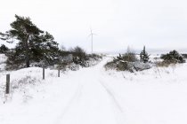 Vista panorámica del camino rural cubierto de nieve - foto de stock