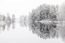 Lago che riflette foresta invernale a Lotorp, Svezia — Foto stock