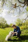 Mature woman petting dog on green meadow in countryside — Stock Photo