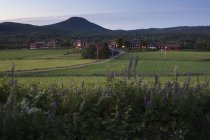 Vista panoramica delle case per campi — Foto stock