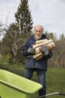 Senior man collecting firewood, selective focus — Stock Photo