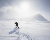 Mujer esquiando por las montañas en tren Kungsleden en Laponia, Suecia - foto de stock