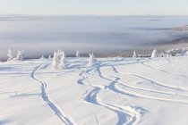 Trilhas de esqui através da neve, foco seletivo — Fotografia de Stock