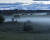 Мальовничий вид туману в полі — стокове фото